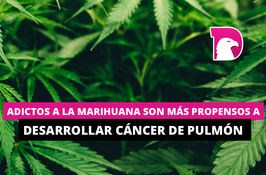  Adictos a la marihuana son más propensos a desarrollar cáncer de pulmón