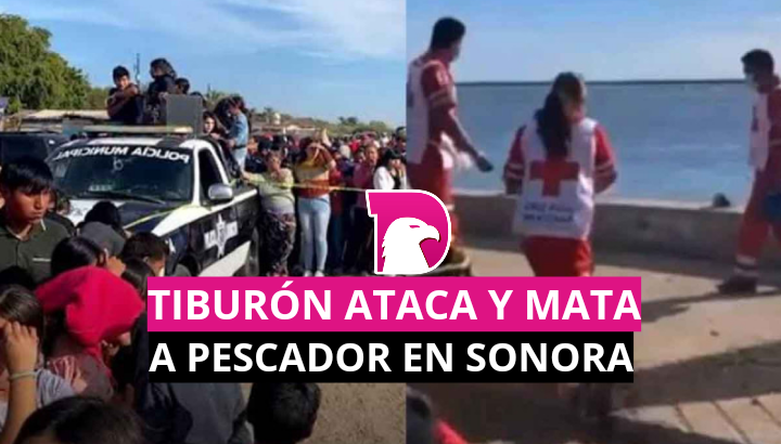  Tiburón ataca y mata a pescador en Sonora