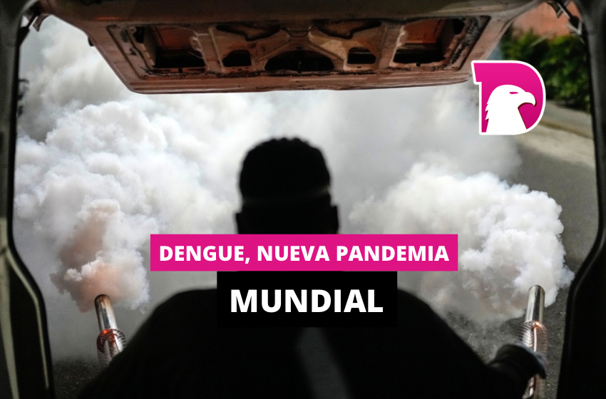  Dengue, nueva pandemia mundial
