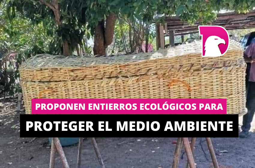  Proponen entierros ecológicos para proteger el medio ambiente