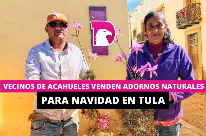  Vecinos de Acahuales venden adornos naturales para Navidad en Tula