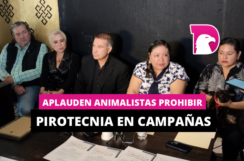  Aplauden animalistas prohibir pirotecnia en campañas