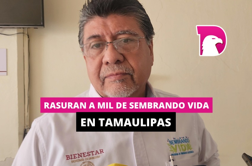  Rasuran a mil de Sembrando Vida en Tamaulipas