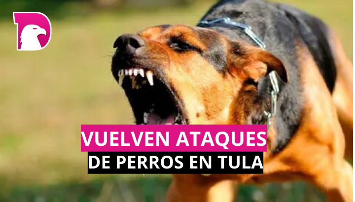  Vuelven ataques de perros en Tula