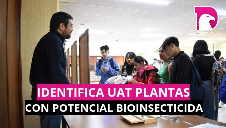  Identifica UAT plantas con potencial bioinsecticida