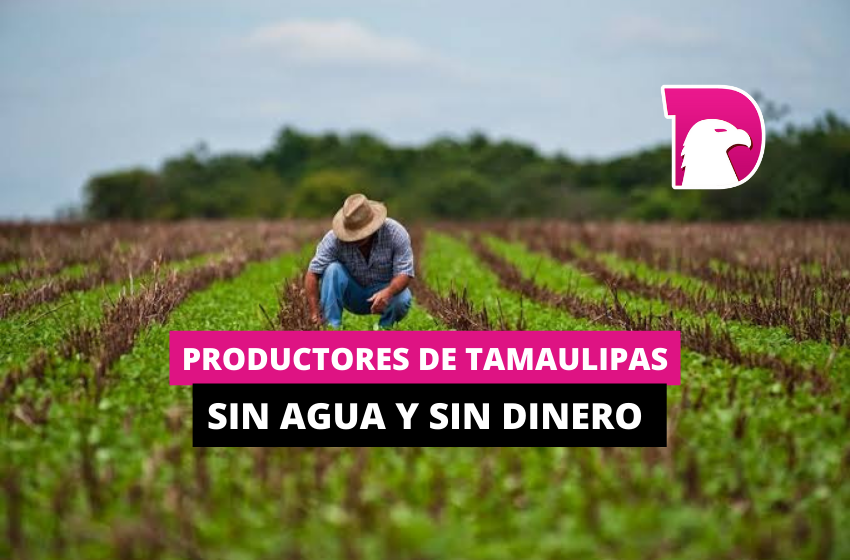  Productores de Tamaulipas, sin agua y sin dinero