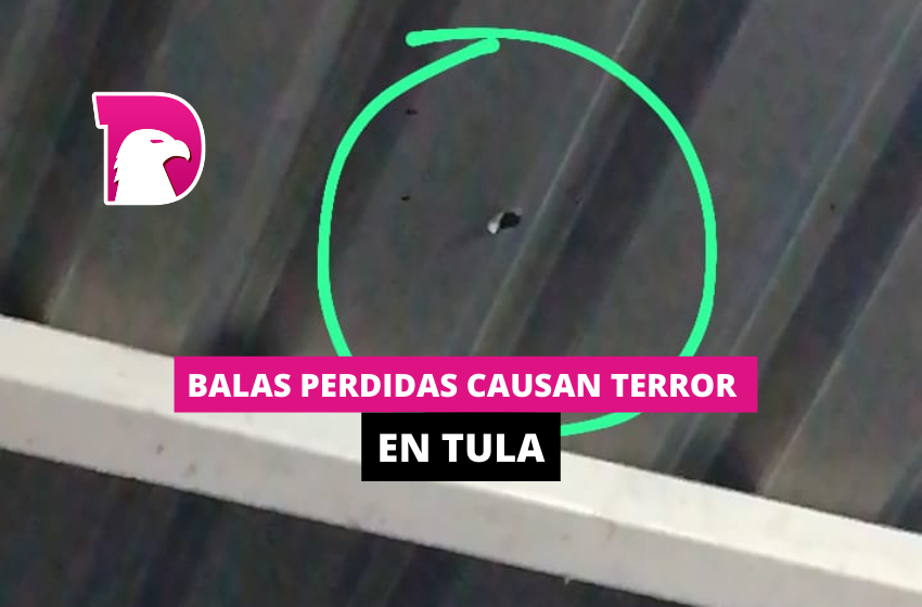  Balas perdidas causan terror en Tula
