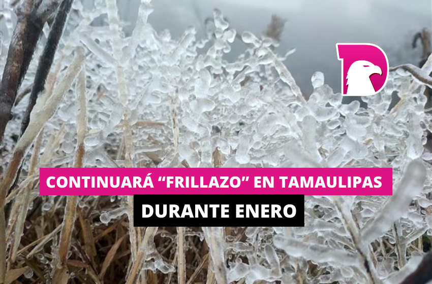  Continuará ‘frillazo’ en Tamaulipas durante enero