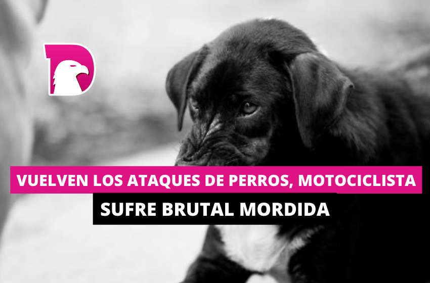  Vuelven los ataques de perros, motociclista sufre brutal mordida