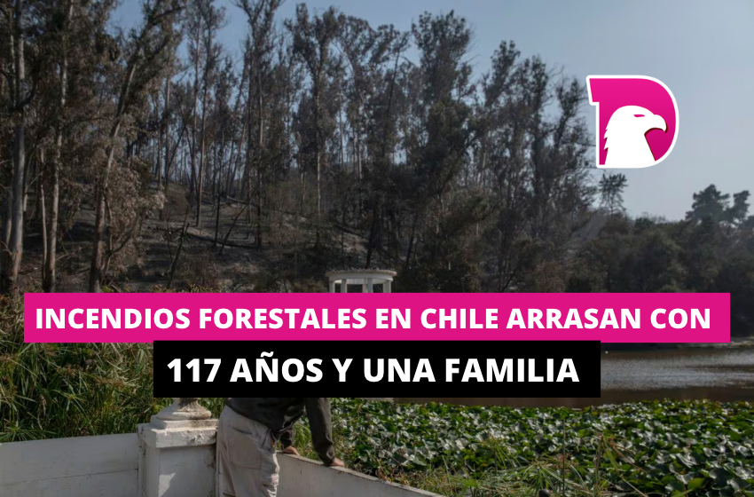  Incendios forestales en Chile arrasan con jardín botánico de 117 años y una familia