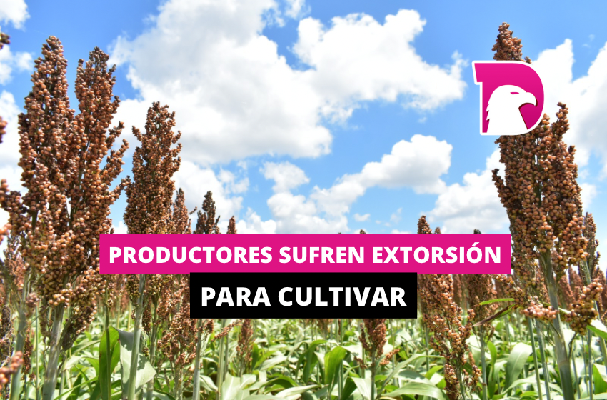  Productores sufren extorsión para cultivar