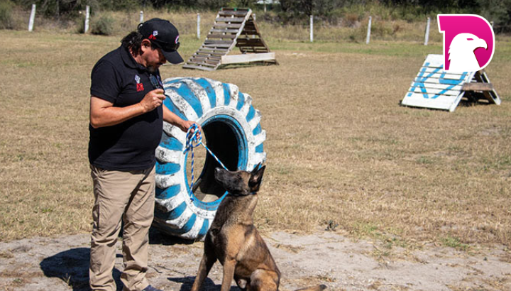  Implementa la UAT cursos de adiestramiento canino