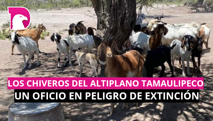  Los “Chiveros” del Altiplano Tamaulipeco: Un oficio en peligro de extinción