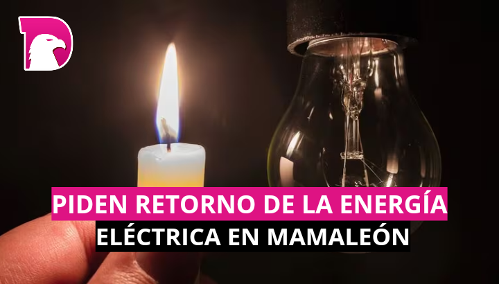  Piden retorno de la energía eléctrica en Mamaleón