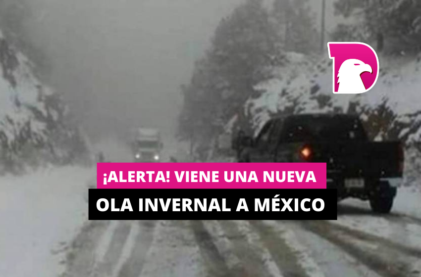  ¡Alerta! Viene una nueva ola invernal a México