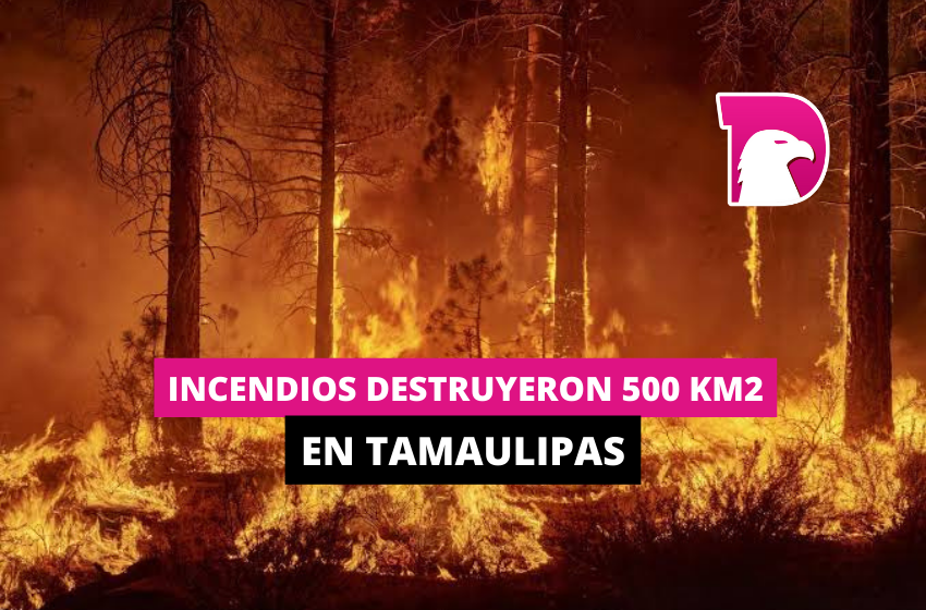  Incendios destruyeron 500 km2 en Tamaulipas