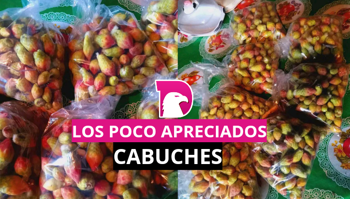  Los poco apreciados Cabuches