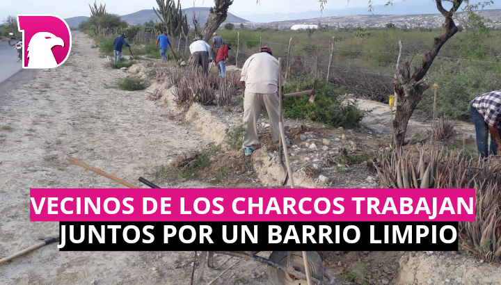  Vecinos de Los Charcos trabajan juntos por un barrio limpio