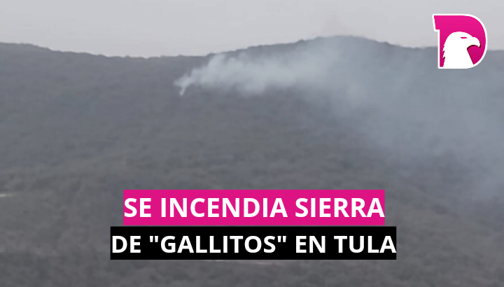  Se incendia sierra de “Gallitos” de Tula