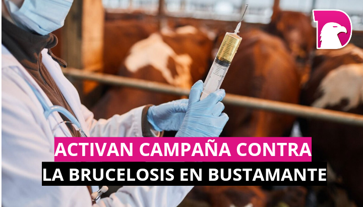  Activan campaña contra la brucelosis en Bustamante