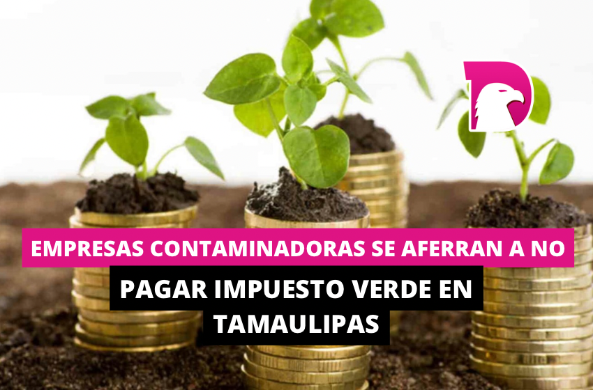  Empresas contaminadoras se aferran a no pagar impuesto verde en Tamaulipas