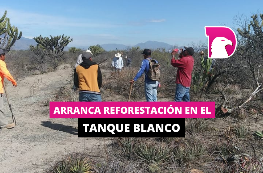  Arranca reforestación en el Tanque Blanco