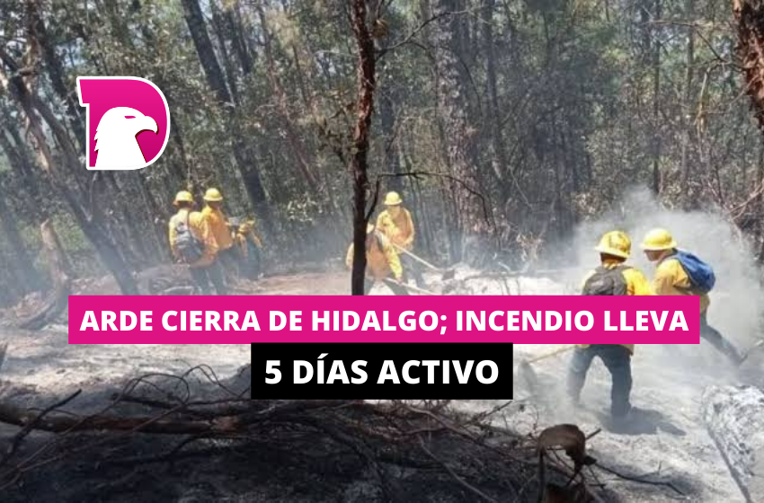  Arde la Sierra de Hidalgo; incendio lleva 5 días activo