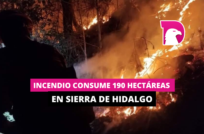  Incendio consume 190 hectáreas en sierra de Hidalgo