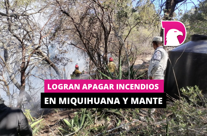  Logran apagar incendios en Miqihuana y Mante