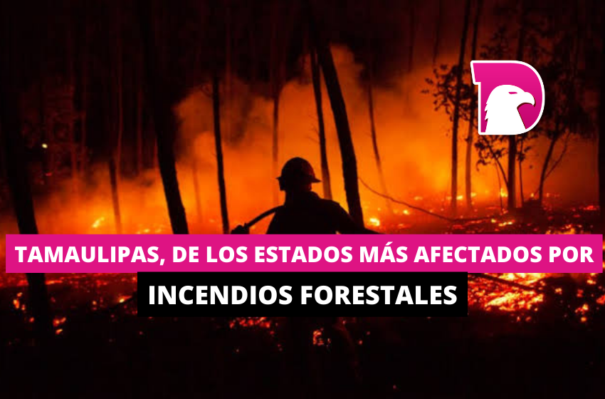  Tamaulipas, de los estados más afectados por incendios forestales