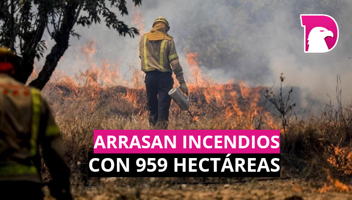  Arrasan incendios con 959 hectáreas