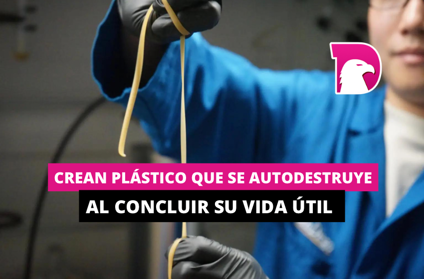  Crean plástico que se autodestruye a concluir su vida útil