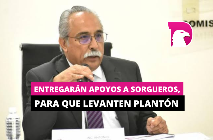  Entregarán apoyos a sorgueros, para que levanten plantón