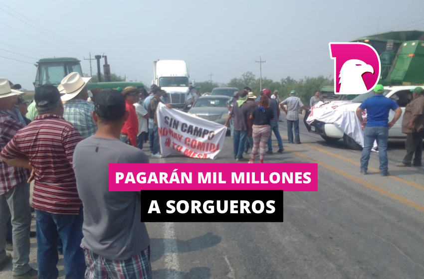  Pagarán mil millones a sorgueros