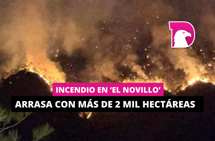  Incendio en ‘El Novillo’ arrasa más de 2 mil hectáreas