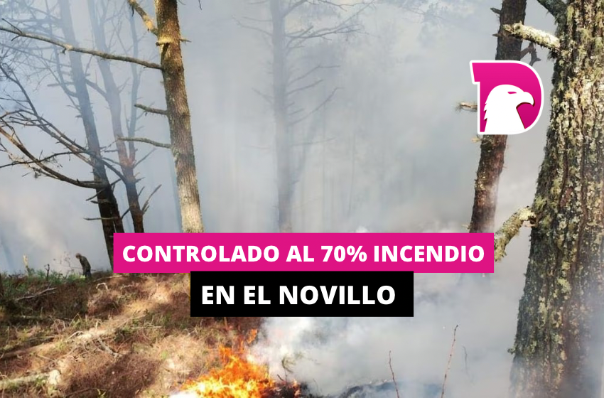  Controlado al 70% incendio en El Novillo