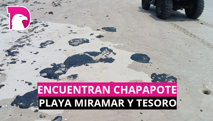  Encuentran chapapote en playas Miramar y Tesoro