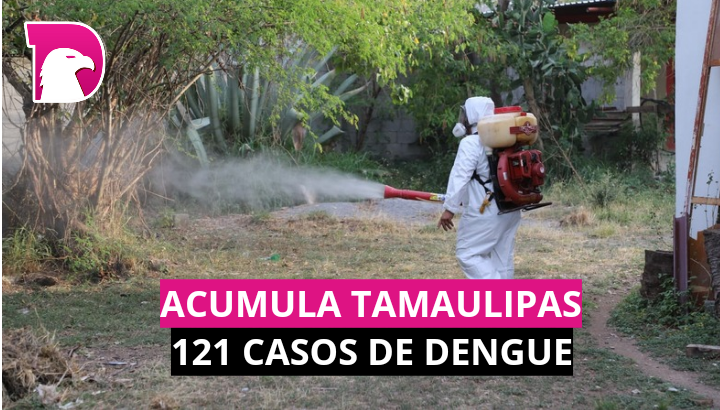  Acumula Tamaulipas 121 casos de dengue