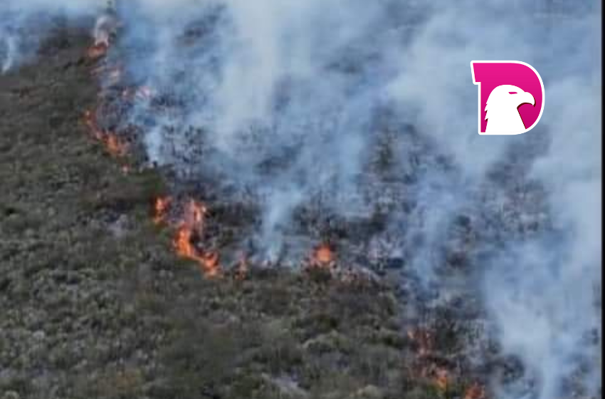  Sin control incendio forestal en Salitrillo y Verdolaga