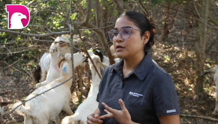  Analiza UAT innovaciones de mejoramiento para la producción caprina