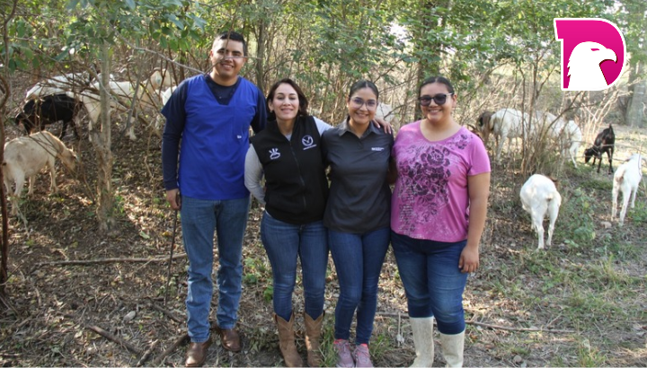  Analiza UAT innovaciones de mejoramiento para la producción caprina