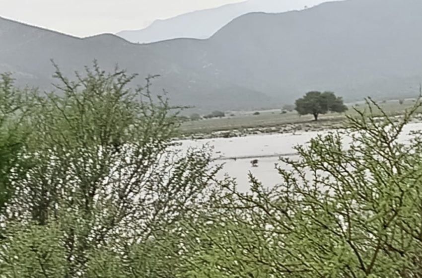  ¡Milagro en Miquihuana! Tras una década de sequía, San Juan Bautista trae lluvias abundantes