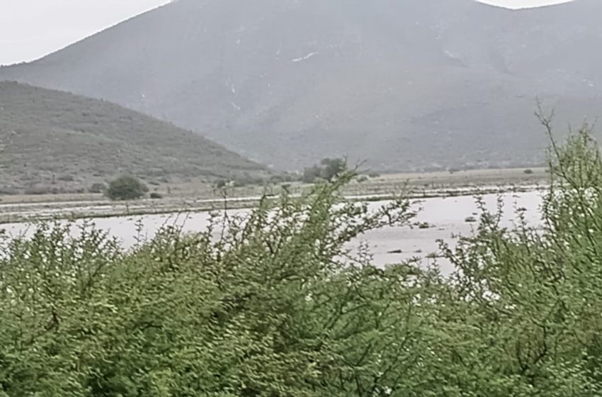  Inunda “Alberto” cultivos en Miquihuana