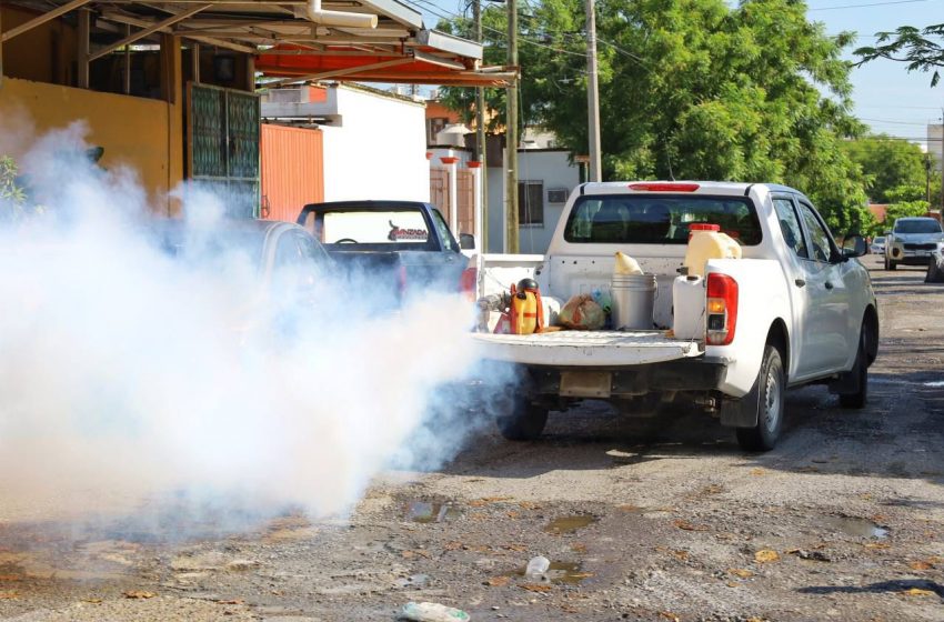  Inician Estado y Municipio acciones de combate del dengue