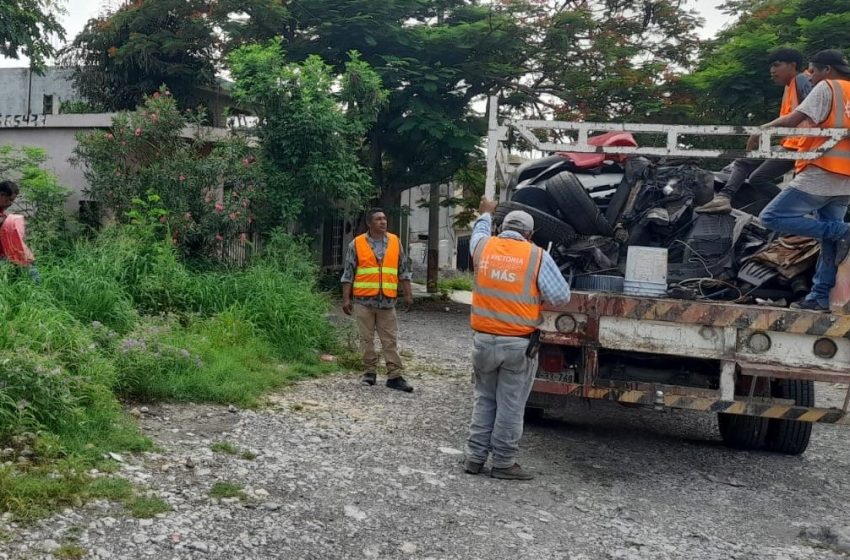  Intensifican guerra contra el dengue