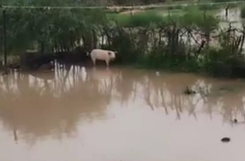  Inundaciones en Lázaro Cárdenas