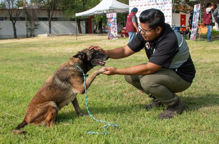  Pondrá la UAT en adopción héroes caninos