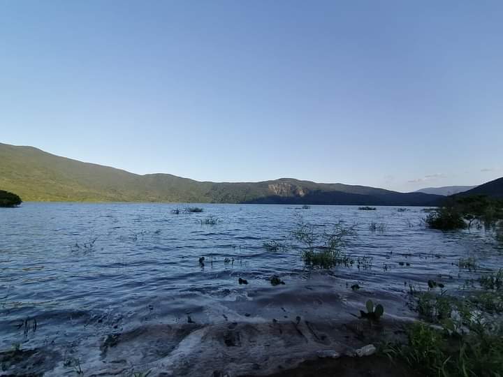  Laguna “La Escondida” un oasis en el desierto de Tula