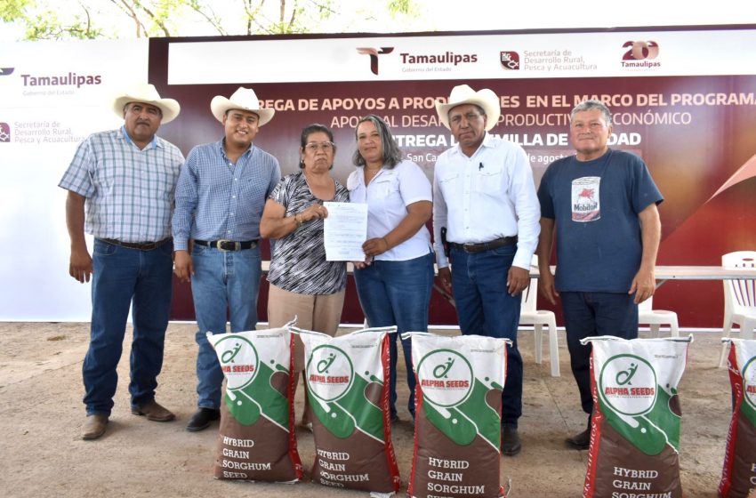  Regalan granos de sorgo y maíz a productores locales