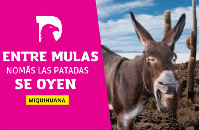  Miquihuana enfrenta crisis de agua: Mala distribución y falta de abastecimiento en el municipio.